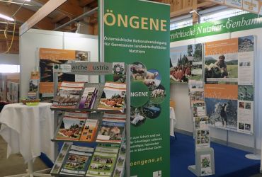 Info-Stand; Halle 13 Info-Stand; Halle 13